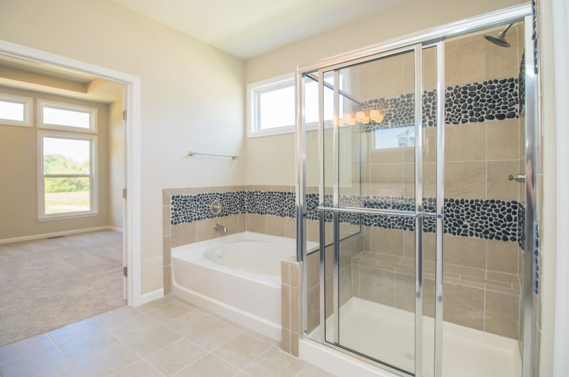 Glass Shower Door